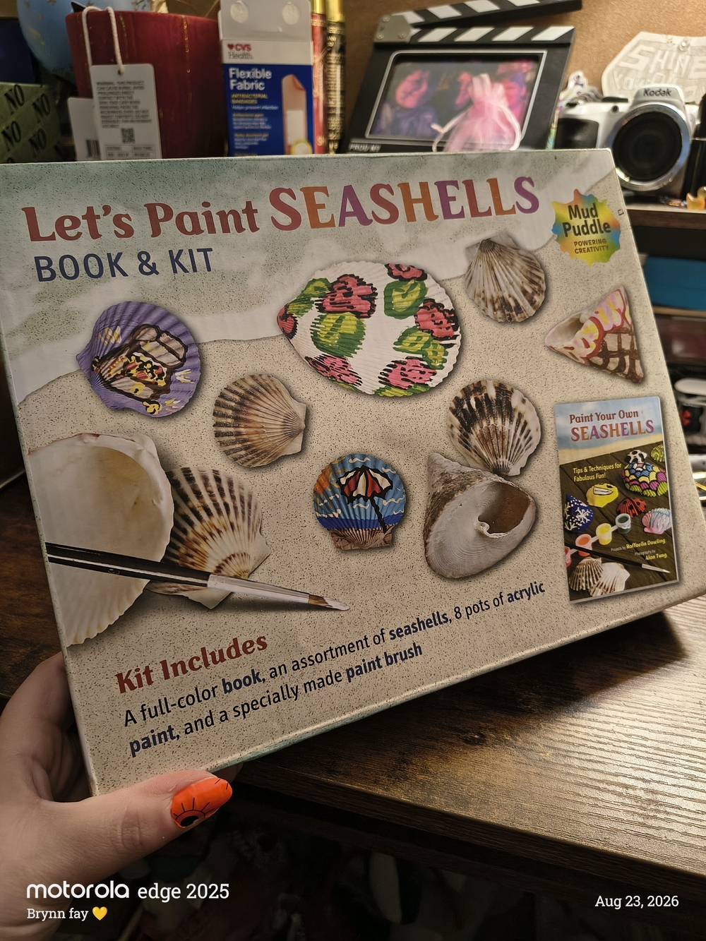 Let's Paint Seashells Kit - Multi